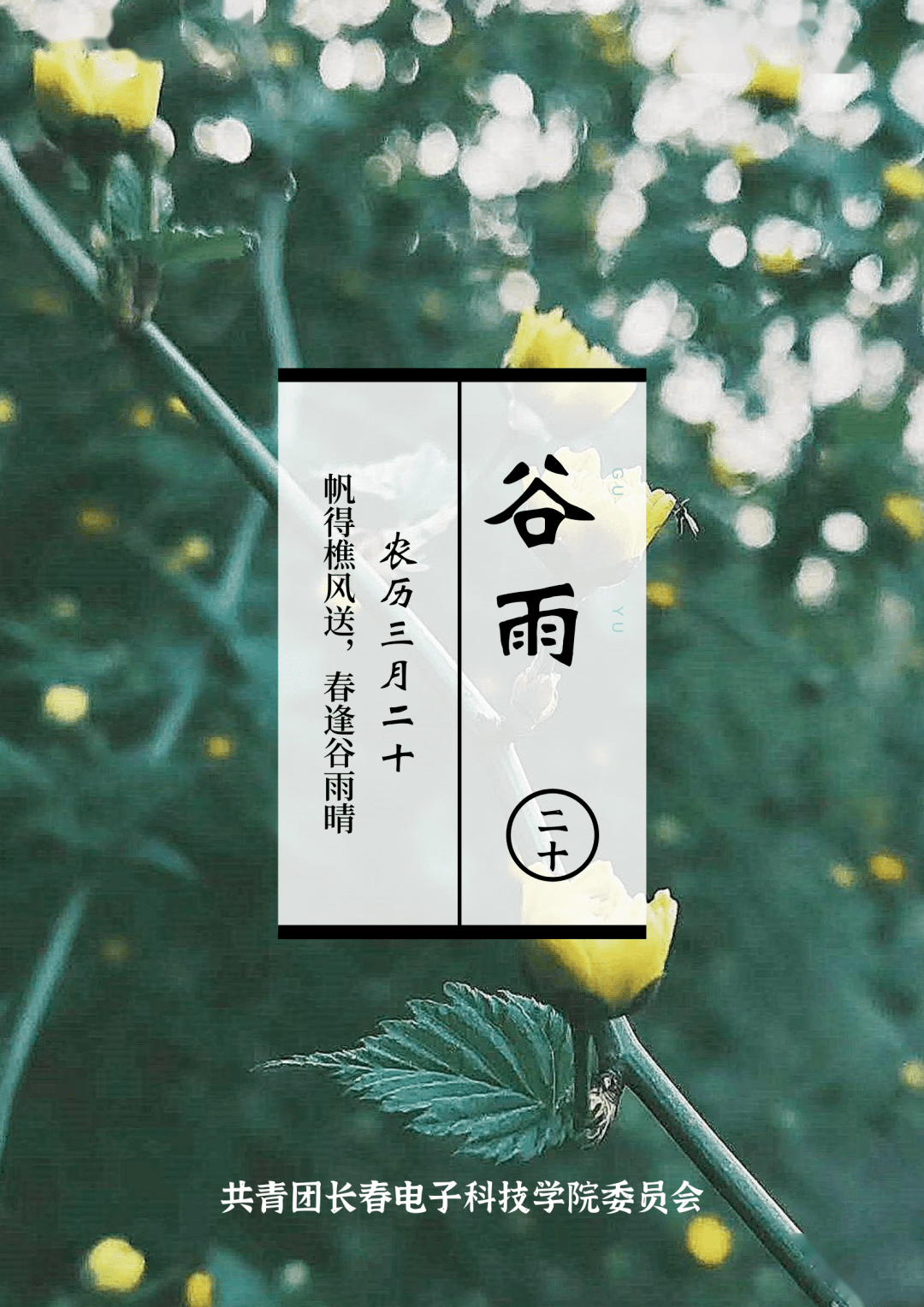 末春 二十四节气图片