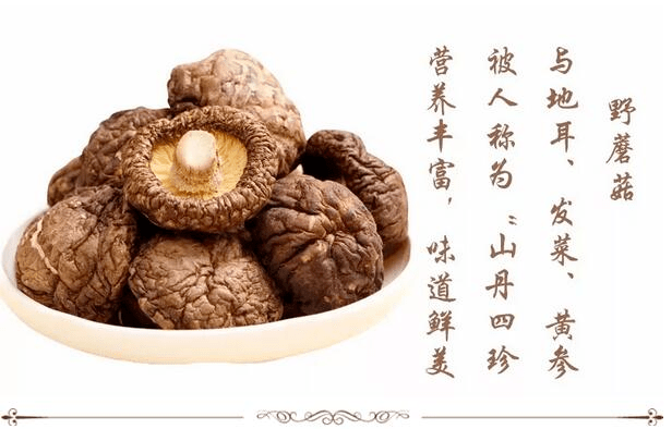 走进丝路马都 畅游五彩山丹