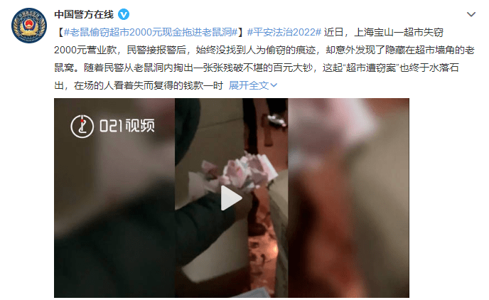 老鼠都变得纸醉金迷！盗1800多元现金建“豪宅”，堪称最贵耗子窝