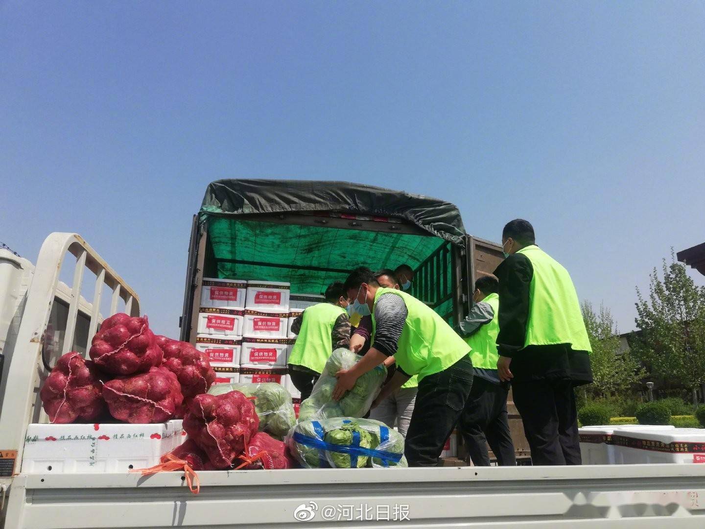 首衡河北新发地捐赠60吨蔬菜支援安国