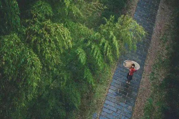 穀雨又是一年別春時