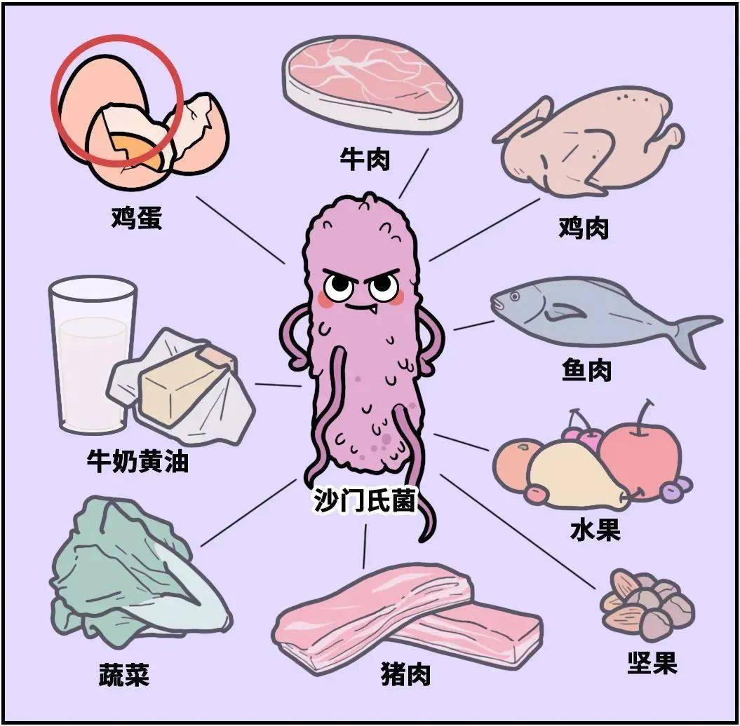 沙门氏菌卡通图片