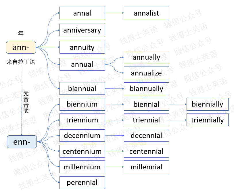 思維導圖速記單詞詞根ann