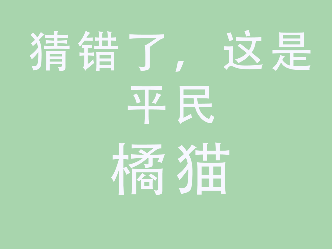 烧脑时刻谁是卧底