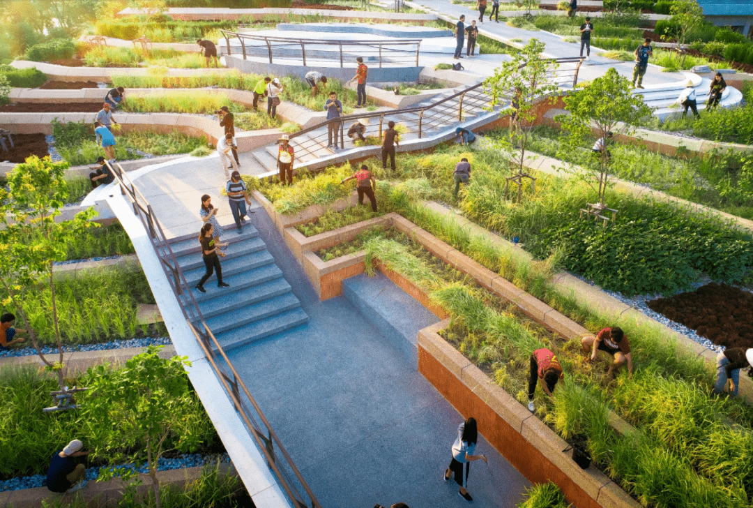 探索都市农场的n种可能_城市_屋顶_urby