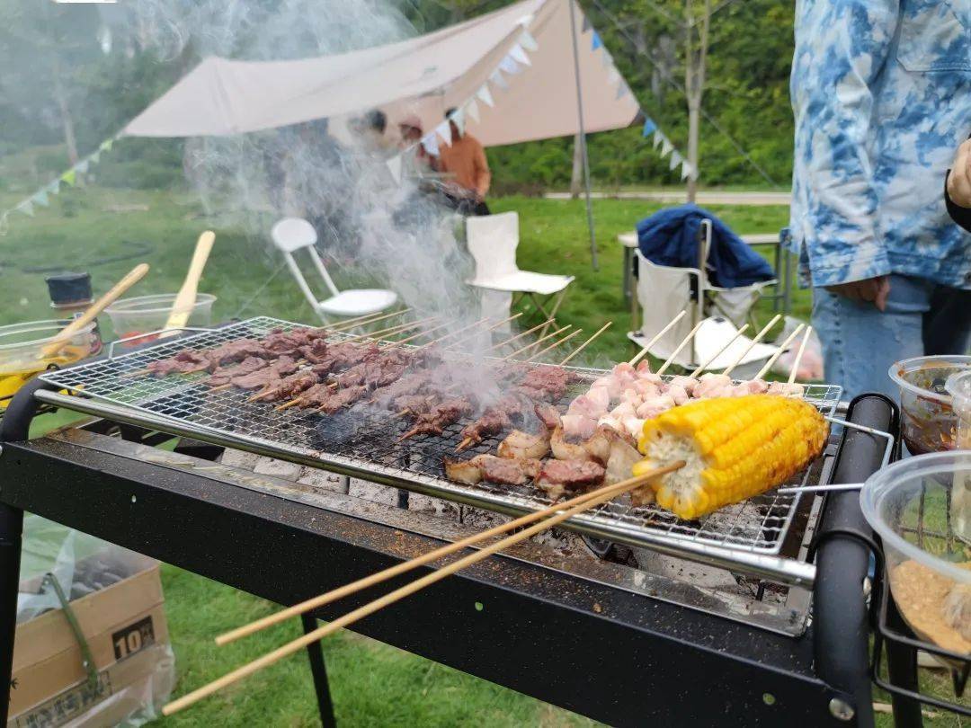 这个烧烤营地,赏景聚会,遛娃野餐舒适 ,半小时到达_叶猴_白头_火龙果