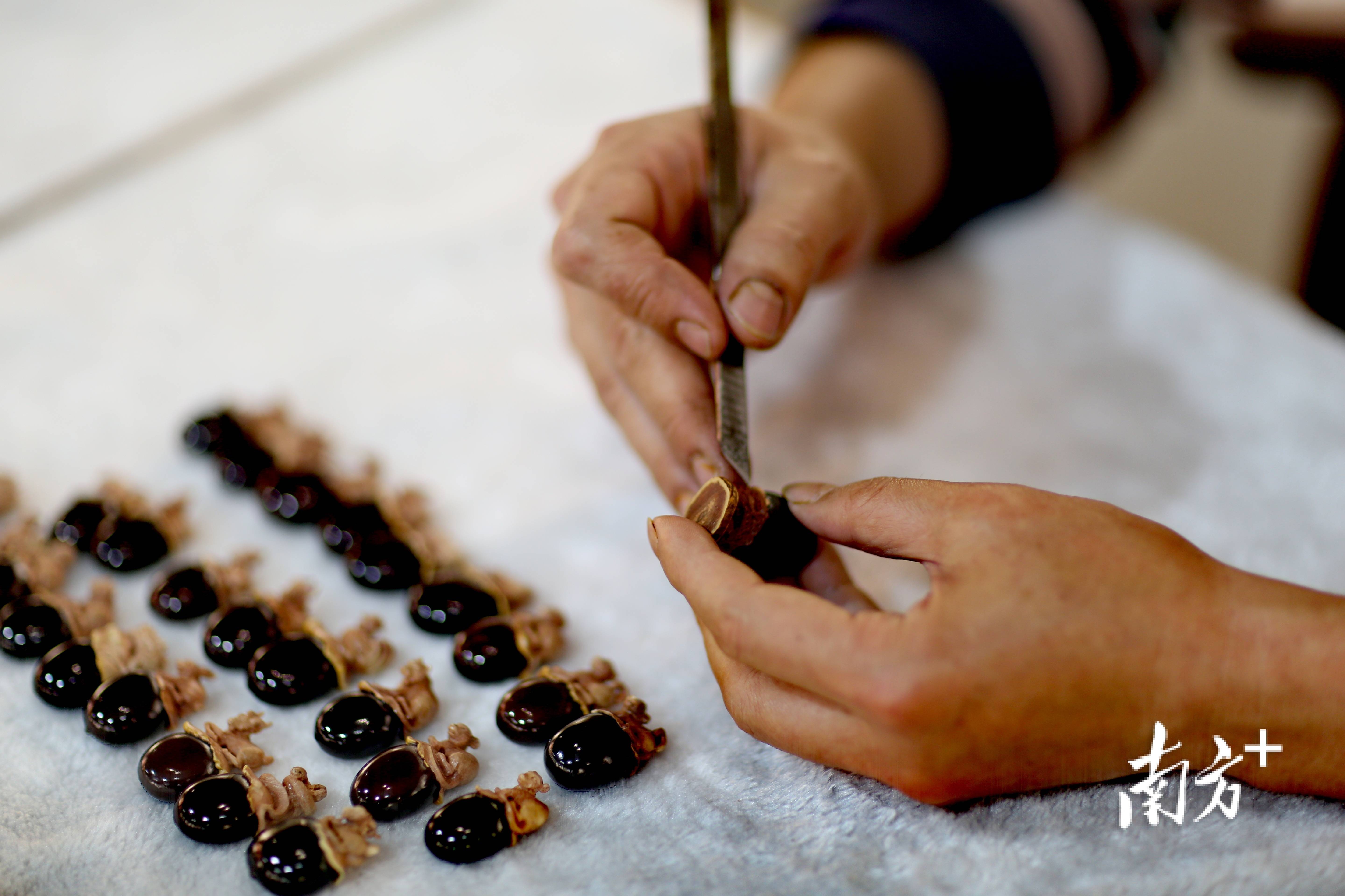 风土高凉│艺藏毫厘微中见艺走进高州缅茄雕刻