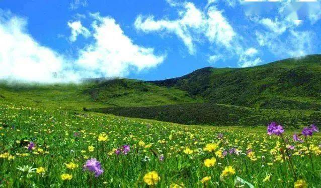 春游北京之百花山春光无限