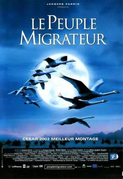 电影《迁徙的鸟》海报“鸟的迁徙是一个关于承诺的故事，一种对于回归的