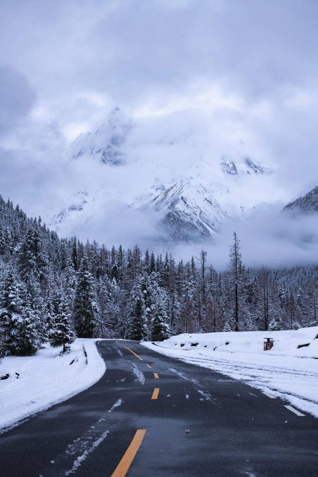 景区_雪花_寒已