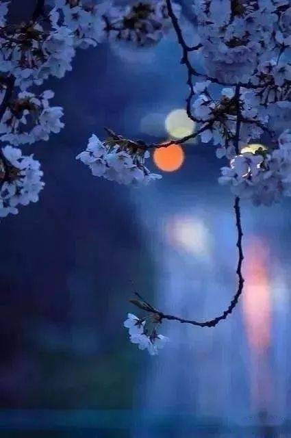 那一场风花雪月的事周治平经典怀旧歌曲唯美中音萨克斯音乐