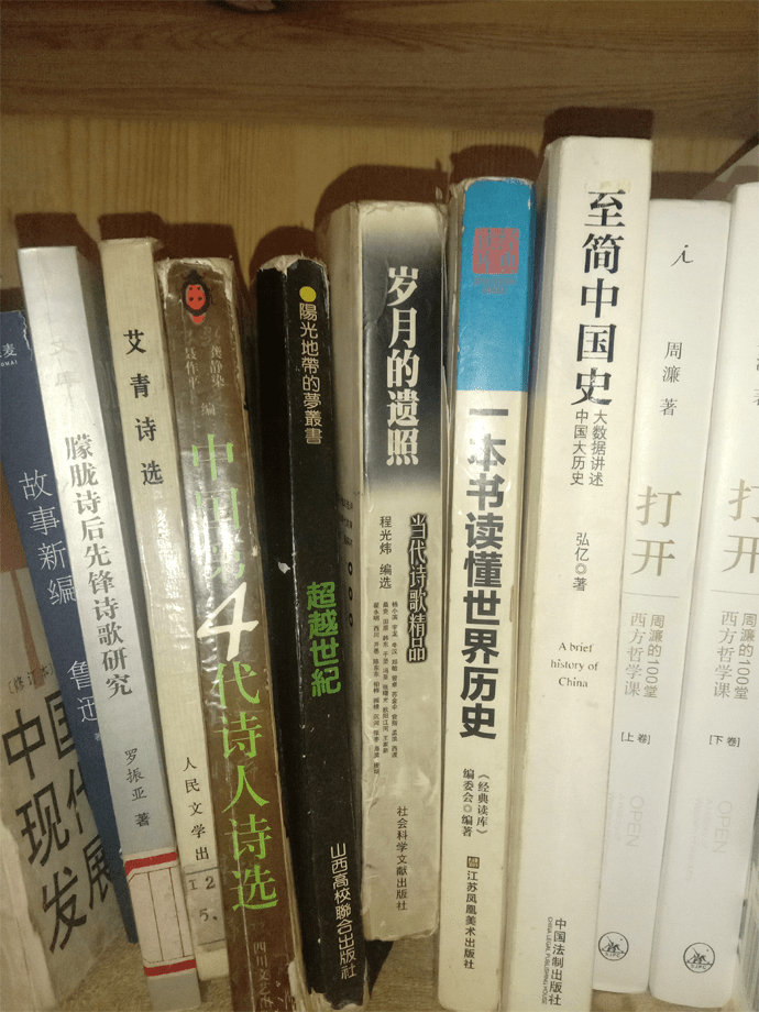 我家书橱一角 诗书伴我人生路 诗歌 穆旦 生活费