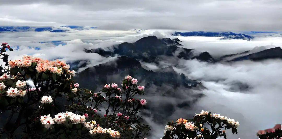 天全光头山灼灼璞玉静待芳华