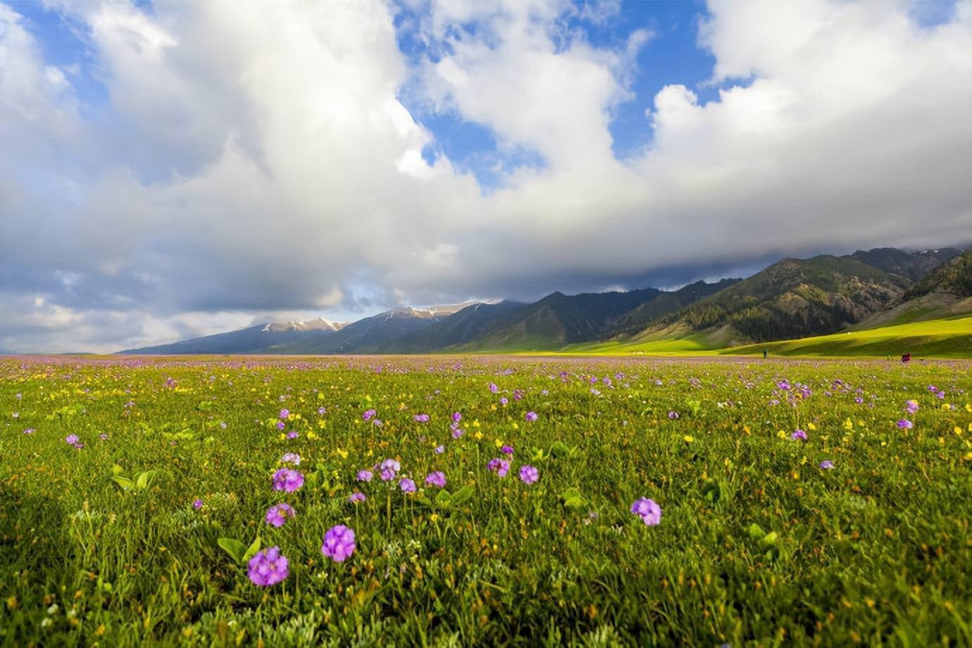 高山花海,蓝天白云,初夏的赛里木湖美出天际!​ ​​​​_