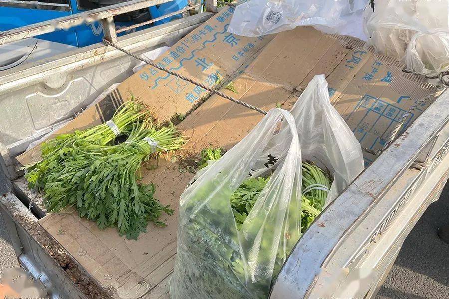 【你怎么看】榆垡大集没开放 大兴这条路竟变小集了