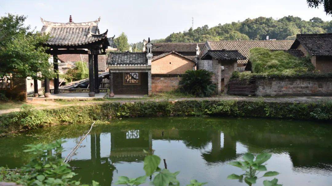 出圈又出片!赣州有座宝藏古村落!_白鹭_客家_赣县