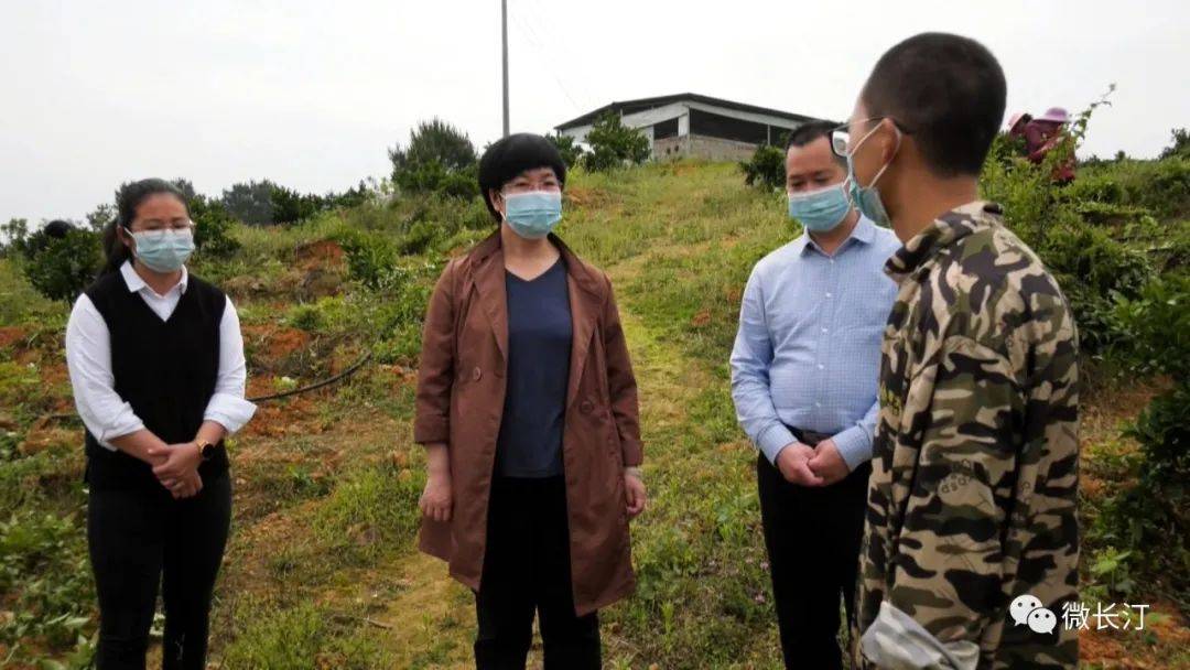 4月22日,长汀县委副书记,县长吕莉带队前往三洲镇,濯田镇,宣成乡,羊牯