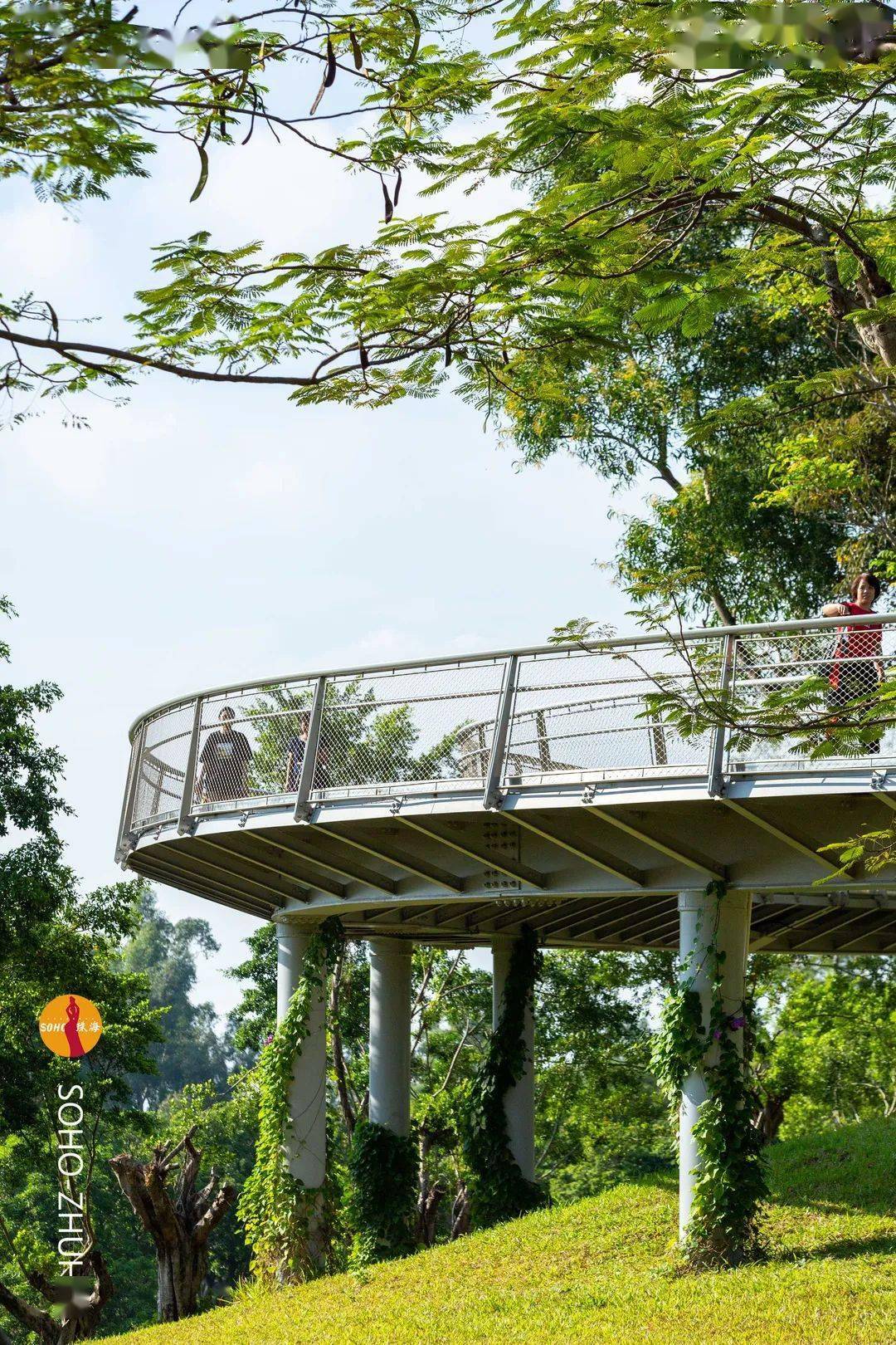 走入公园入口空中栈道赫然出现在眼前顺着附近的栈道环湖而行香山湖