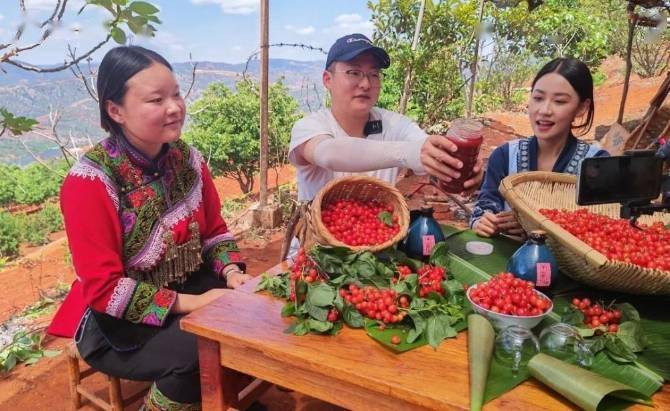 赤鹫樱桃节图片