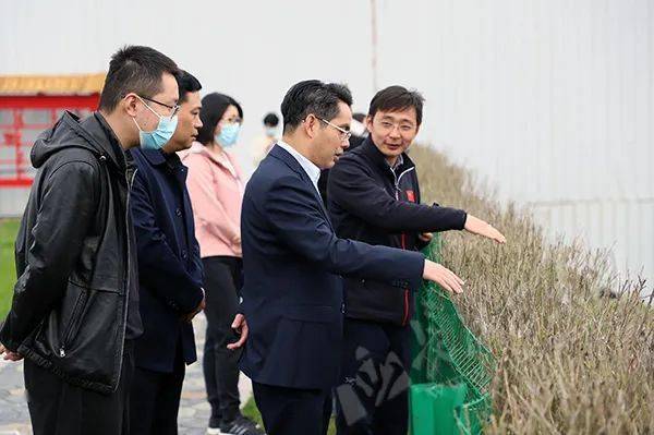 省文旅厅来巴东调研文旅产业发展及疫情防控工作_陈武斌_旅游_巴东