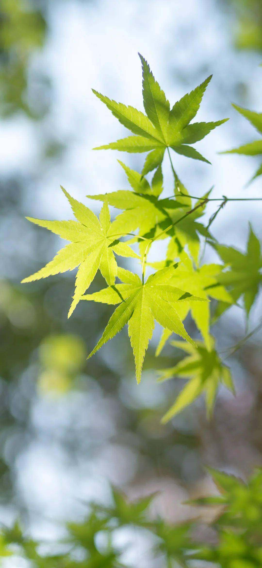 周易起名网_周易起名_周易起名打分测试