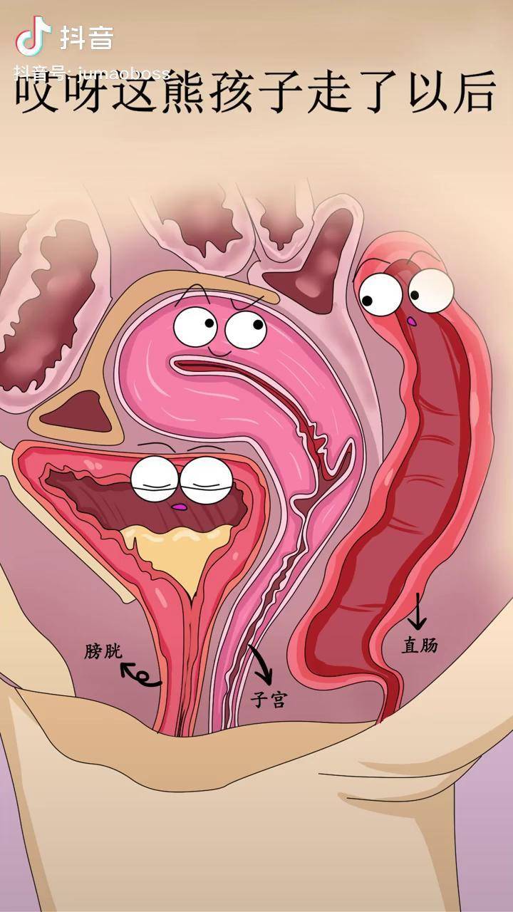 听说子宫上又多了几个小可爱轻漫计划充能计划动漫