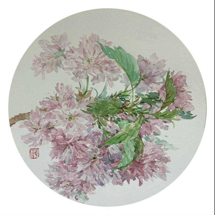 一期一会·樱花赋 | 作为画家,你可以用心感受生命的每个过程_贾绍萍_艺术_水彩