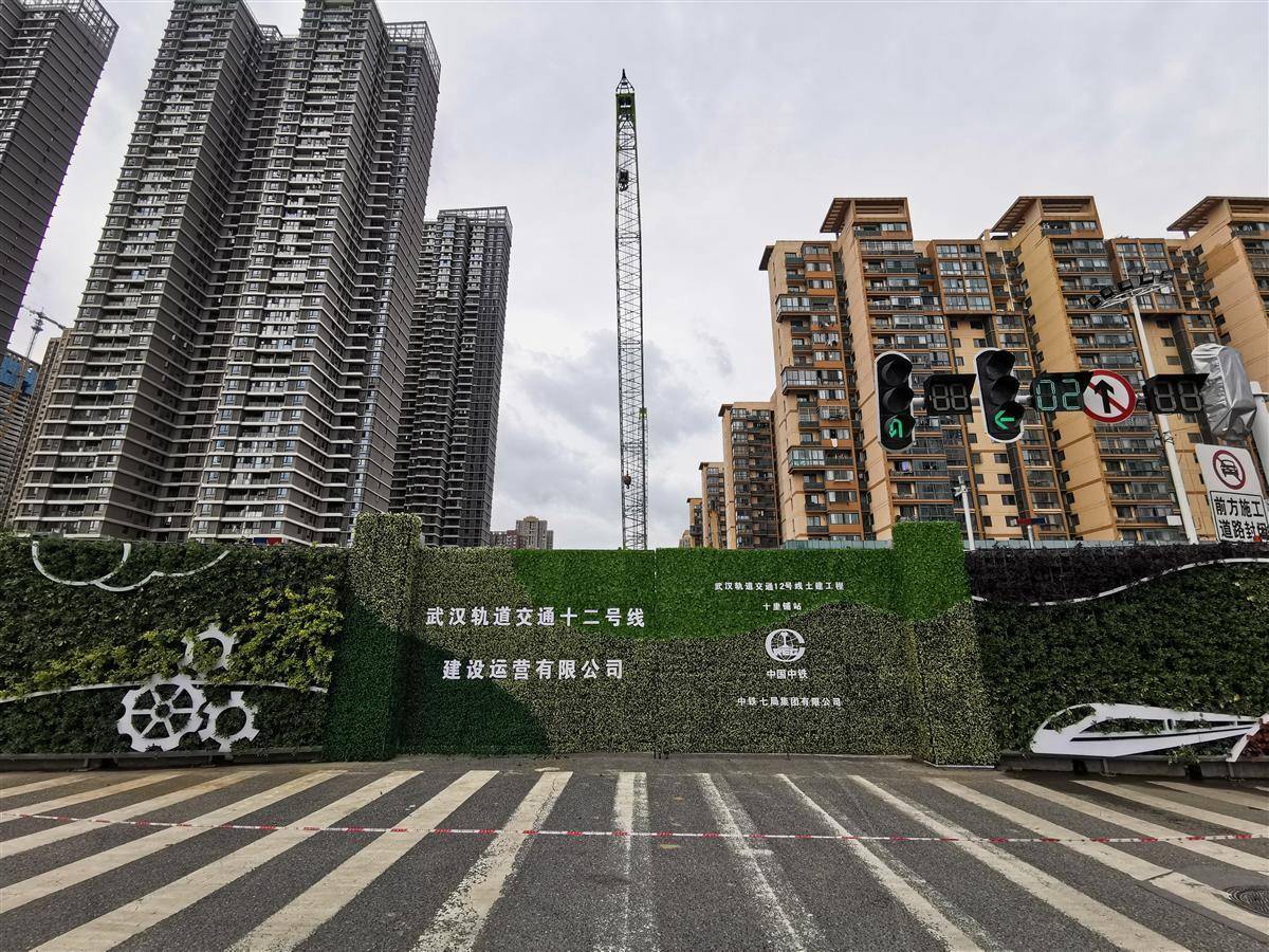 工地围挡成风景线武汉地铁12号线首个鲜花植物围挡制作完成