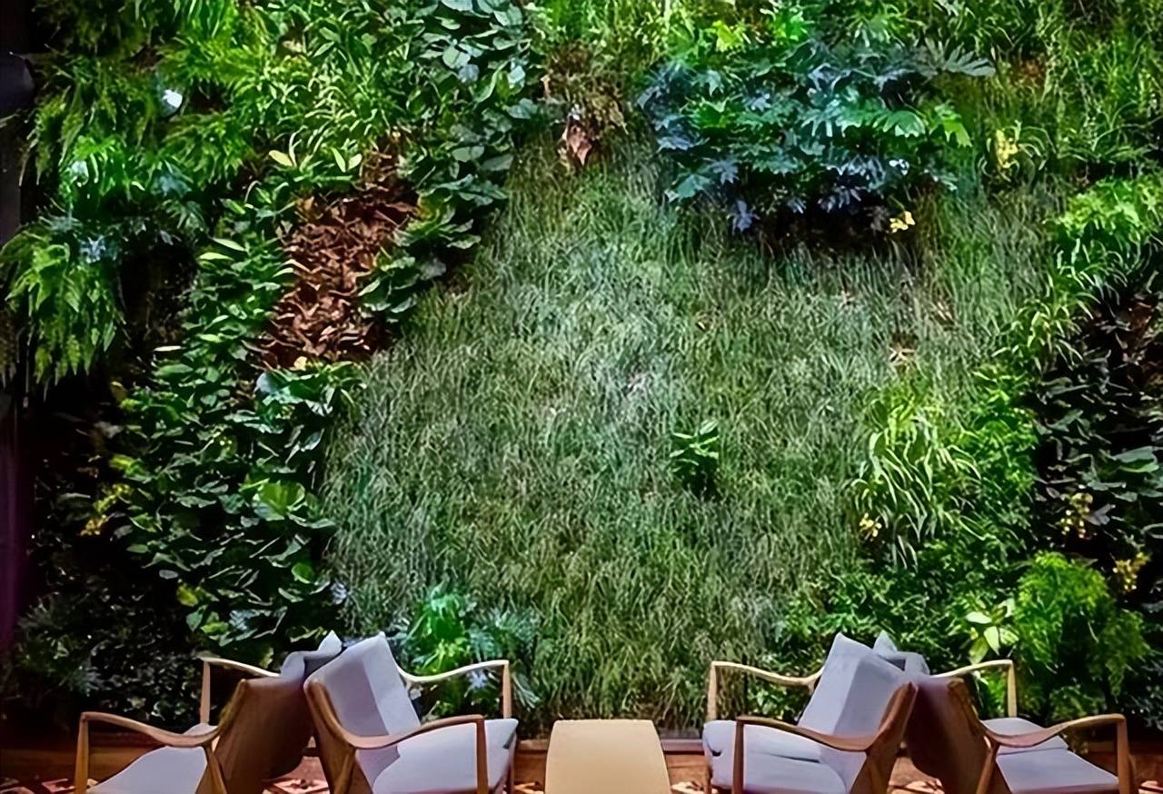 从"水哥"到"宝藏男孩",王昱珩活成了别人羡慕的样子_植物_自然_作品