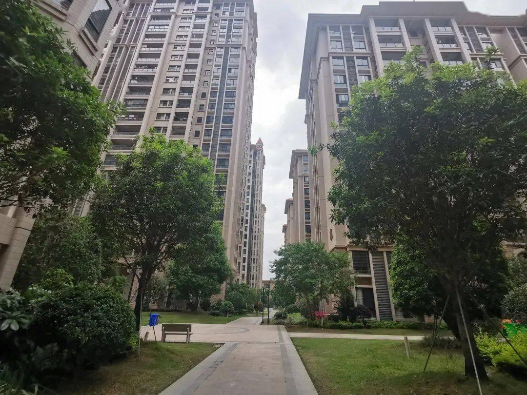 拍抖音赢大奖棉湖新城抖音摄影大赛来袭华为手机等你拿