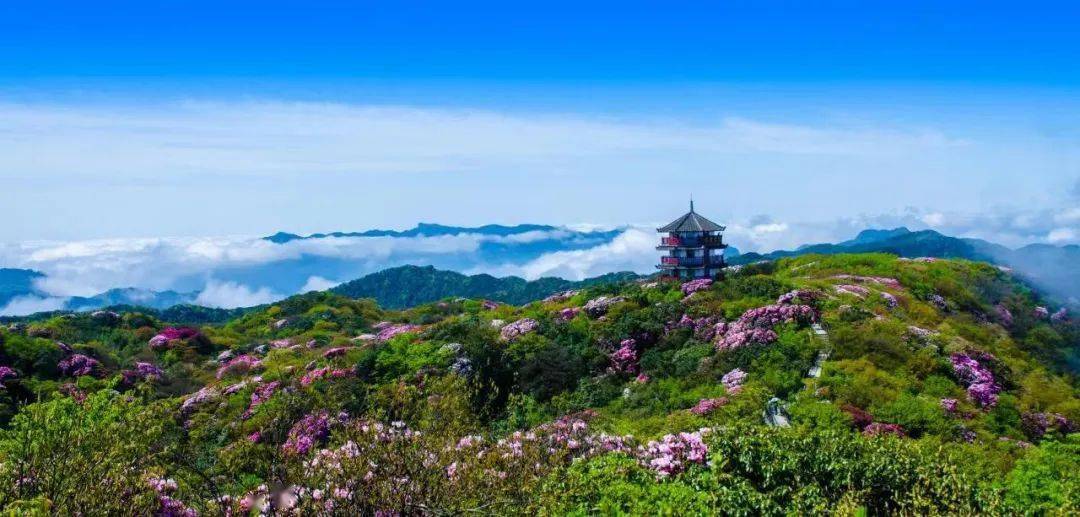 金佛山_美食_門票