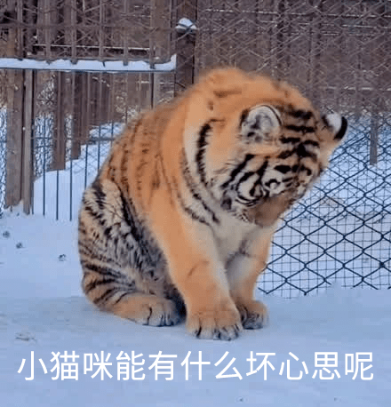 关于这一音变,民间流传有几种说法:老虎变大māo.