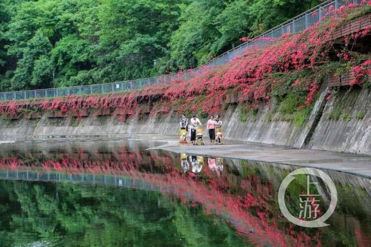 江北盘溪河步道▲苦竹溪步道山林步道登高寻野趣 丰富市民生活提起