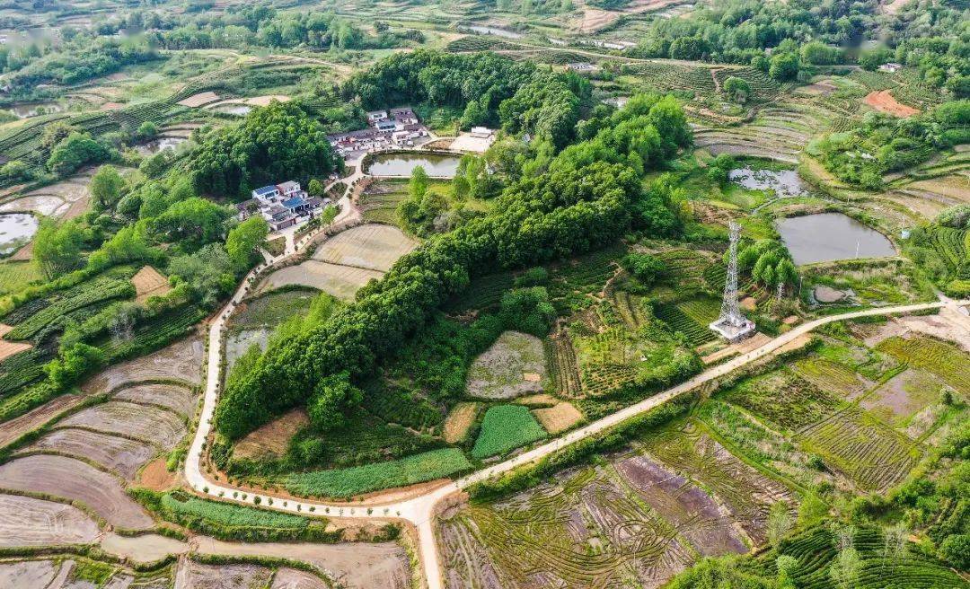 光山美好人居凉亭乡鄢脂洼村