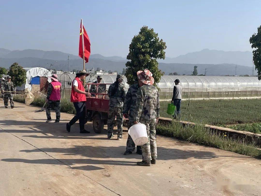 在江城镇云岩村,由巾帼志愿者,镇(村组)干部和群众组成的专项行动队