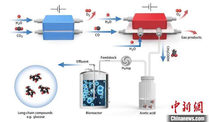 中国科学家再次实现二氧化碳“变废为宝”：还原合成葡萄糖和油脂