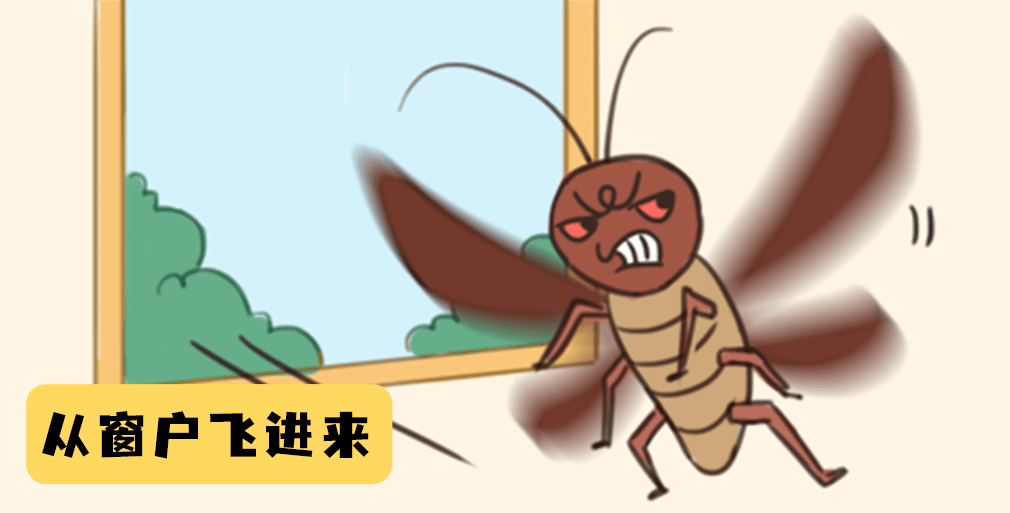 末日蟑螂漫画图片