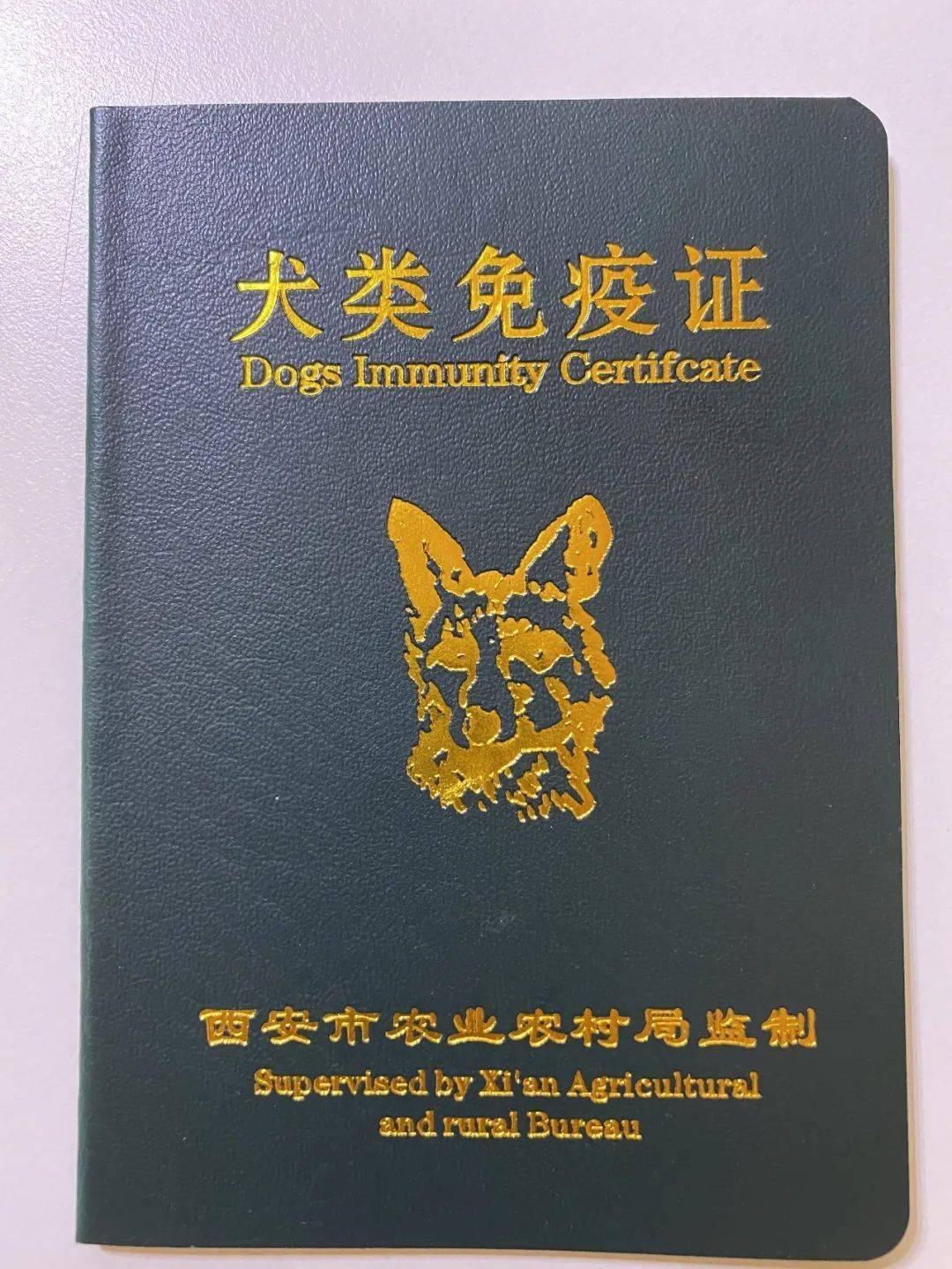 线上领养 | 给狗狗一个身份证_救助_免疫_毛孩子