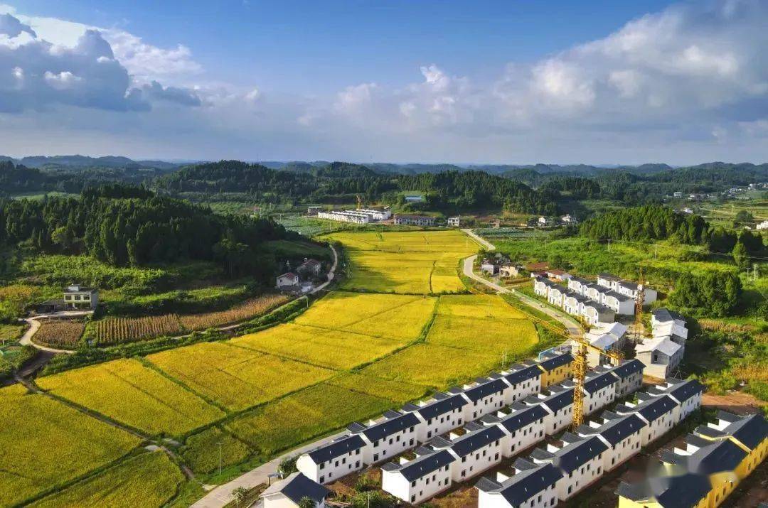 遂宁美丽乡村全面振兴重点项目凯歌公社1974盛大开园