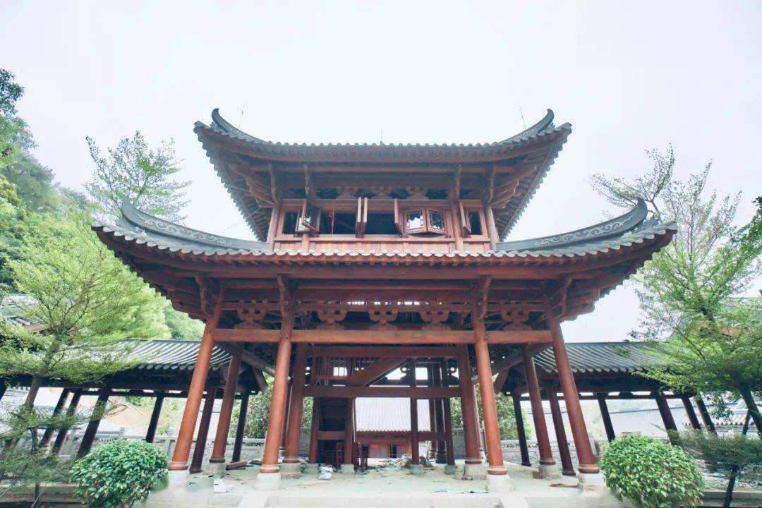 梧州流量王三总府邀创logoip宣传口号一等奖8000元