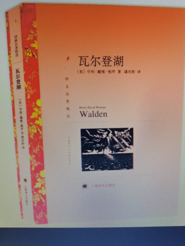 book《人性的弱點 人性的優點》《人性的弱點 人性的優點》簡介