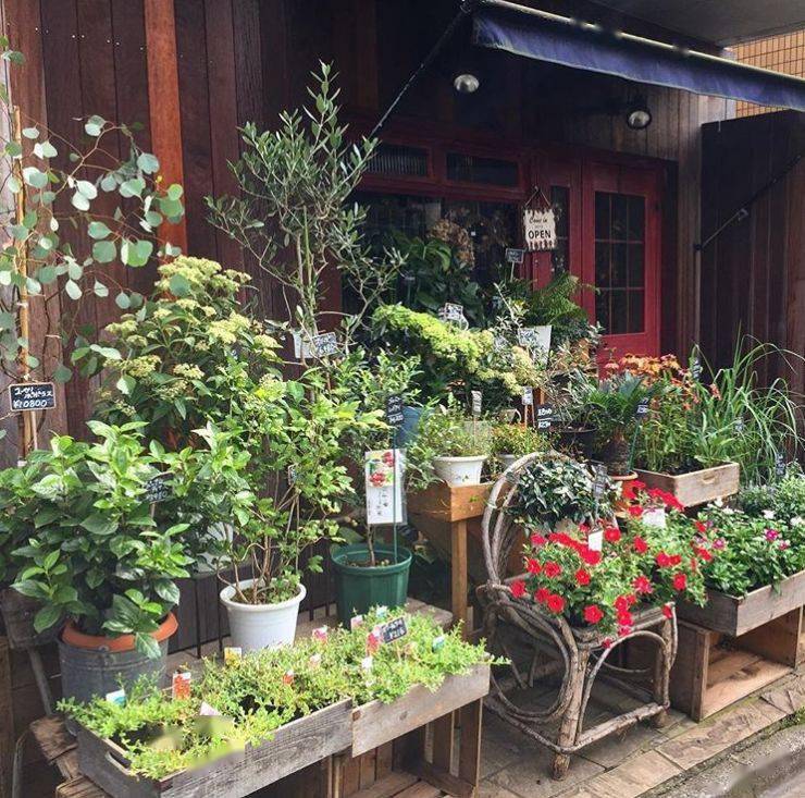 4家东京街头的小花店你最喜欢哪一家