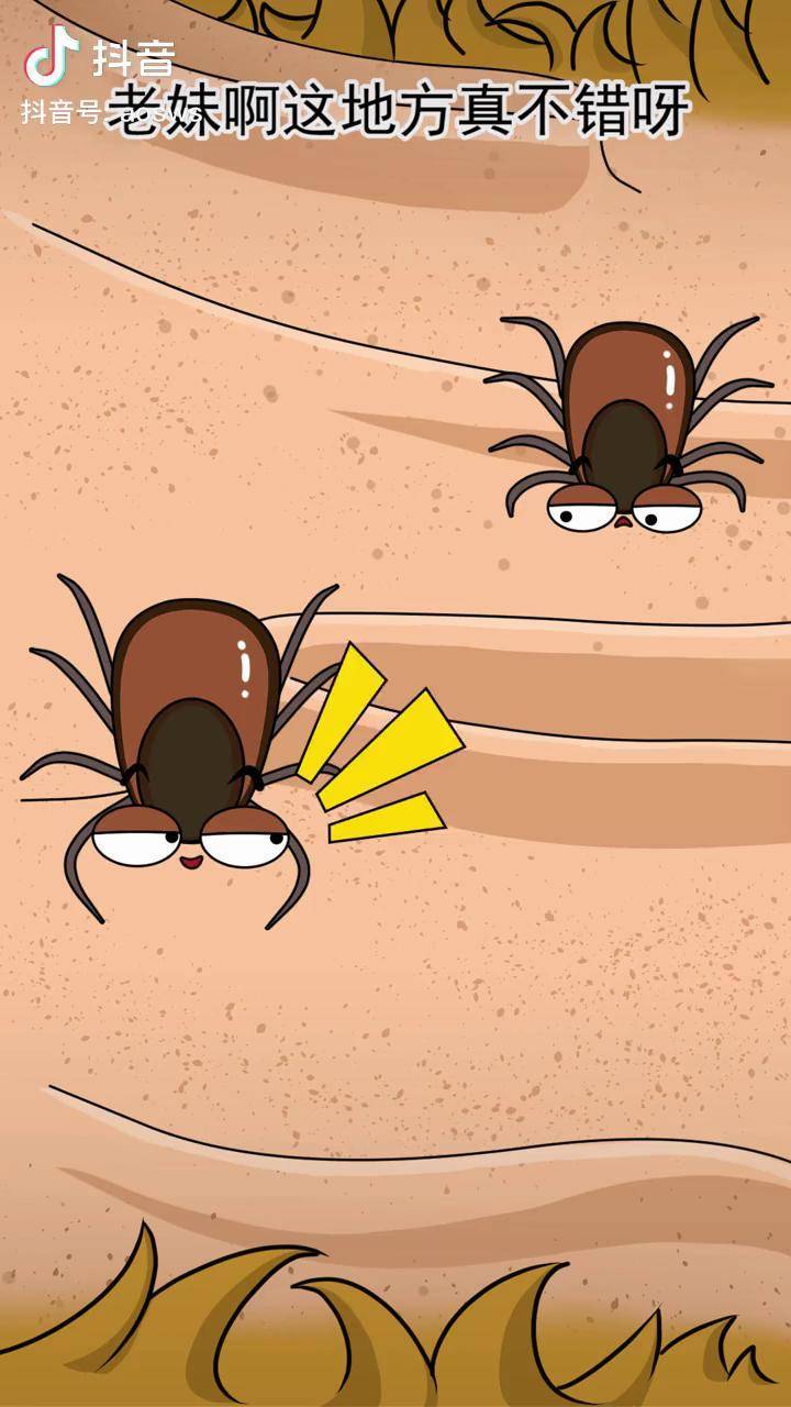 狗狗身上的蜱虫要正确处理喔二次元原创轻漫计划充能计划我在抖音看