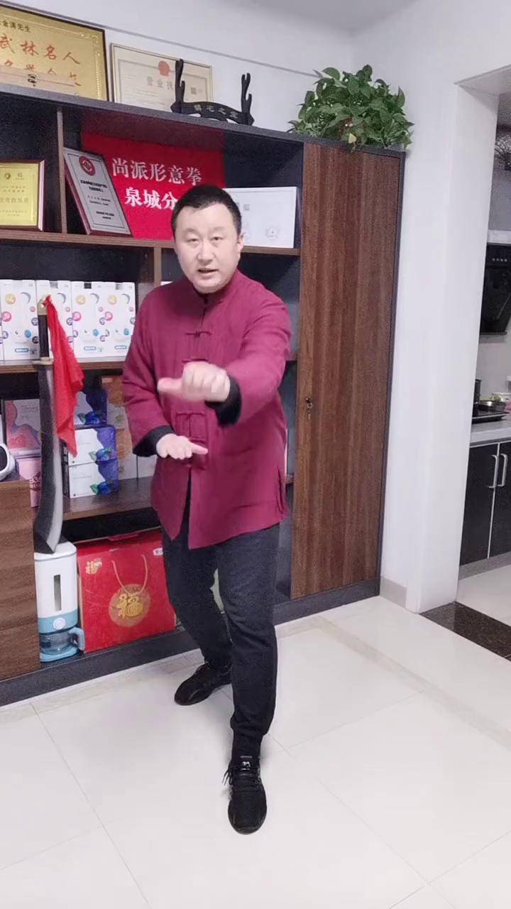 出手横拳势难招形意拳张金涛讲形意抖音短视频