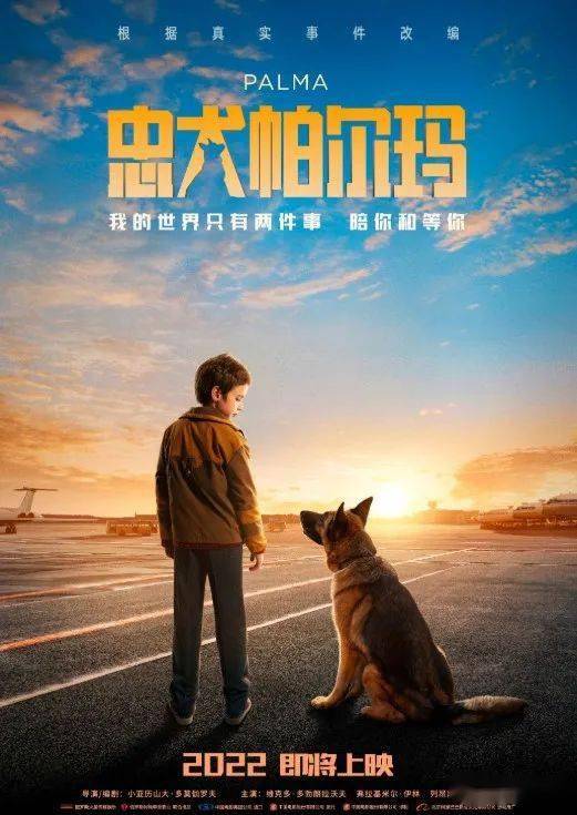 俄罗斯电影忠犬帕尔玛确认引进