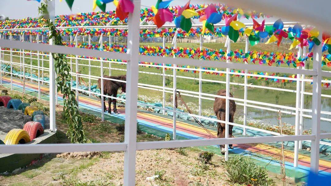 保山游隆阳亲子户外小众打卡全攻略