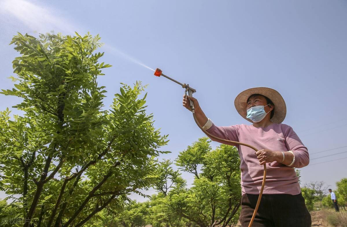 农民常用的5种打药方法浪费了农药钱和人力不说还没啥效果