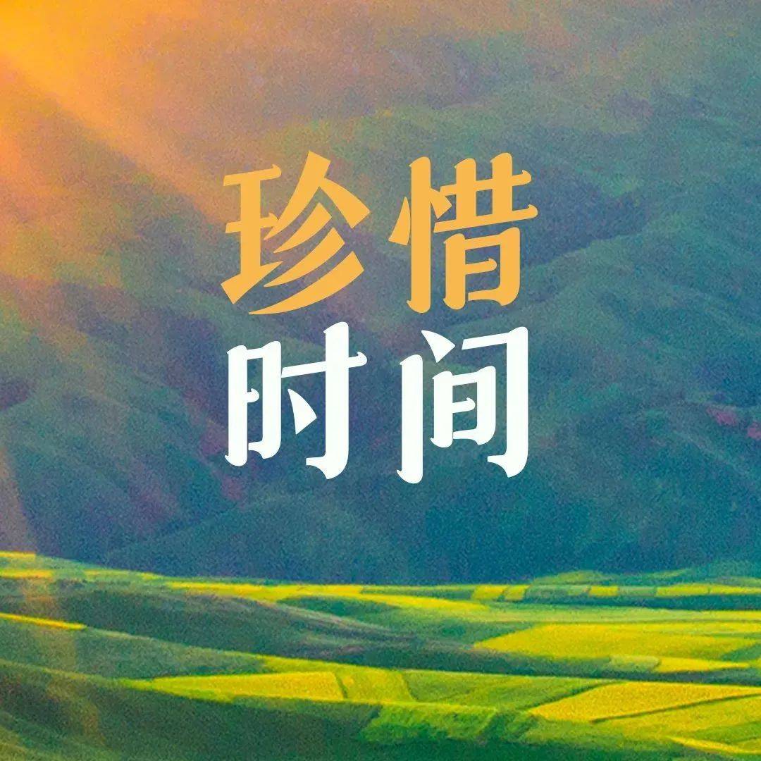 心如花木 向阳而生-搜狐大视野-搜狐新闻