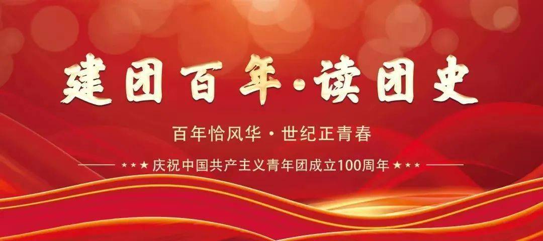 读书心得百年历史风雨兼程读中国青年运动一百年有感