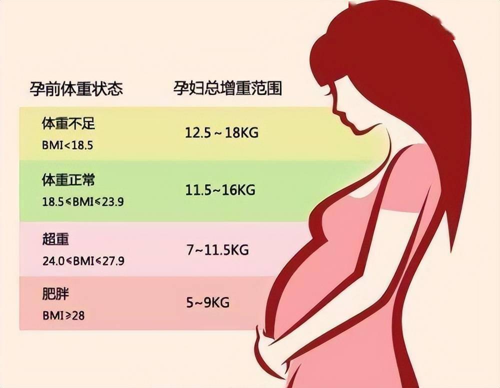 孕妇体重增加表图片图片